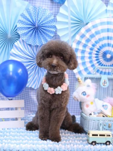 20231102きょうのちゃん